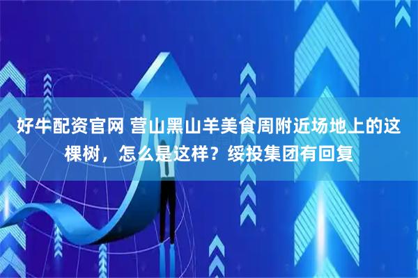 好牛配资官网 营山黑山羊美食周附近场地上的这棵树，怎么是这样？绥投集团有回复